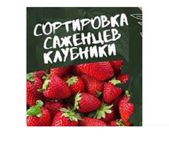 Требуются работники на сезонную работу - сортировка саженцев. Требуются работники на сезонную работу - сортировка саженцев.